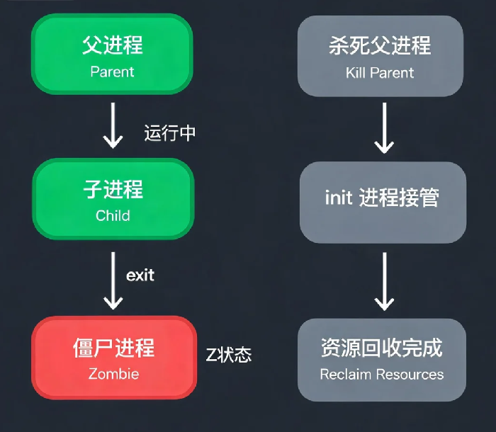 Linux系统中僵尸进程是怎么产生的？如何清理？